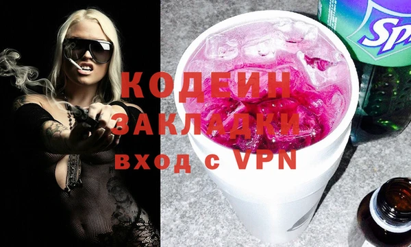 шишки Туринск