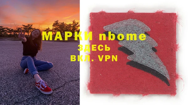 прущие грибы Лабытнанги