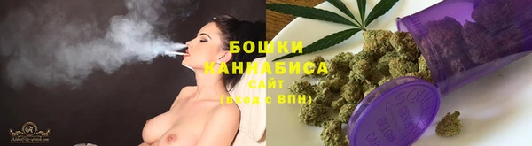 трава Покачи