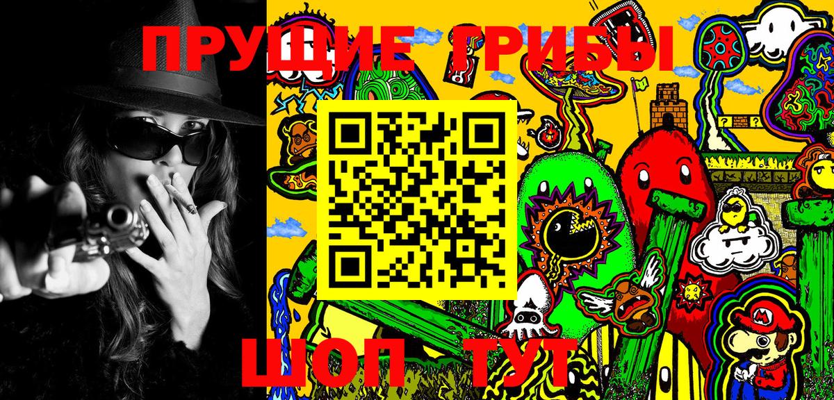 Галлюциногенные грибы мицелий Курган