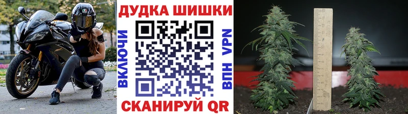 купить наркоту  Курган  Каннабис MAZAR 